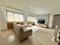 toh-guan-road photo thumbnail #11